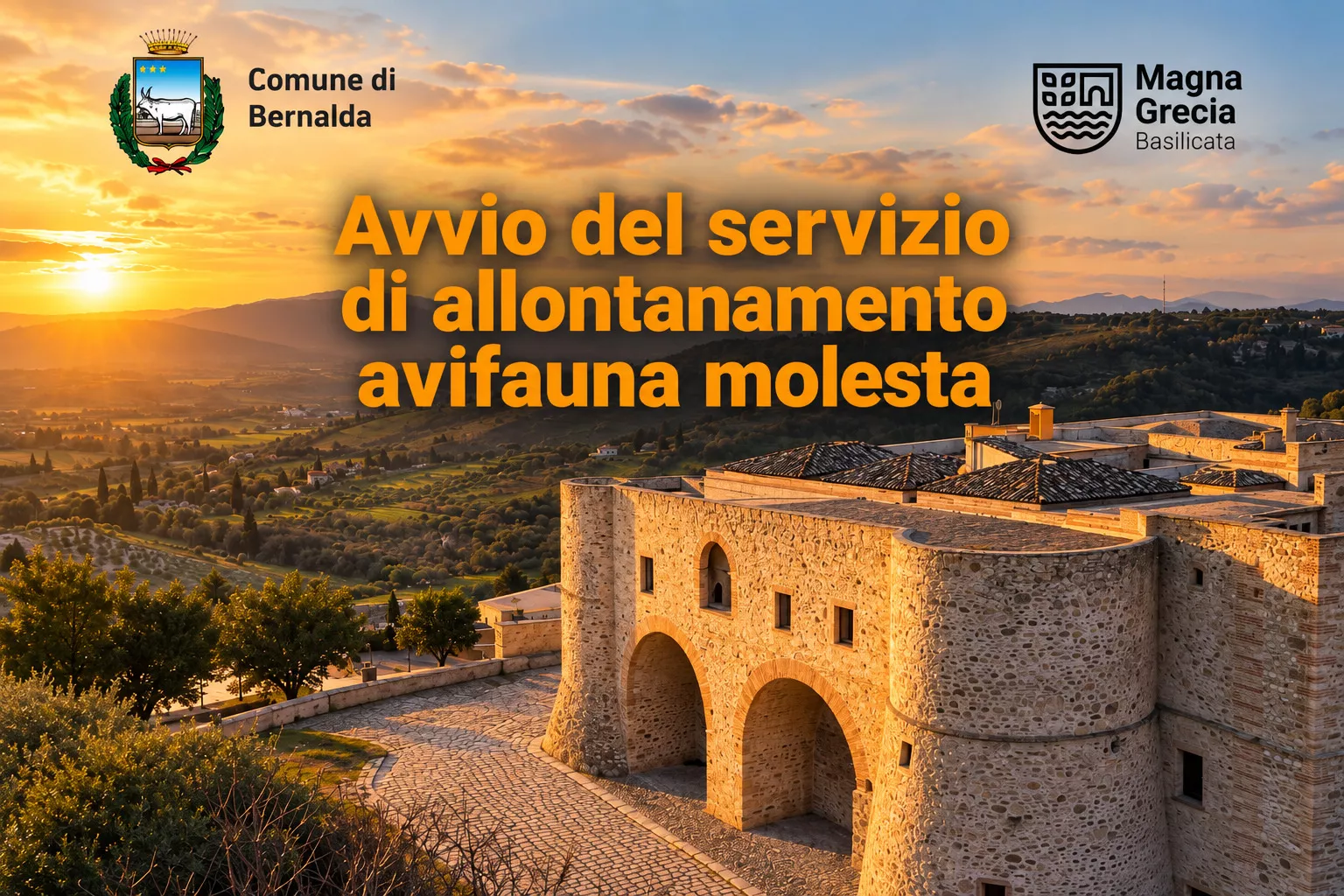 Bernalda e Metaponto: al via il servizio di allontanamento dell’avifauna molesta